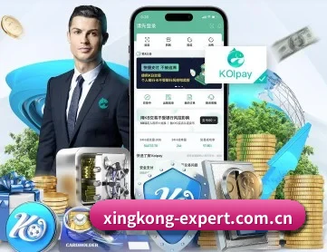 星空体育中国官方网站 APP 深度功能