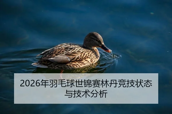 2026年羽毛球世锦赛林丹竞技状态与技术分析