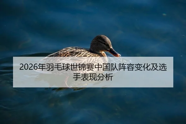 2026年羽毛球世锦赛中国队阵容变化及选手表现分析